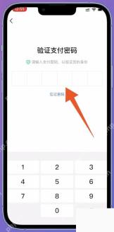 抖音输入支付密码页面