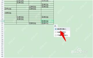 在WPS表格自动填充选项中选择复制单元格