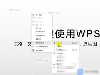 PPT如何放映时添加墨迹？入口位置