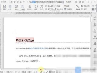Word如何将批注显示“已解决”?入口位置