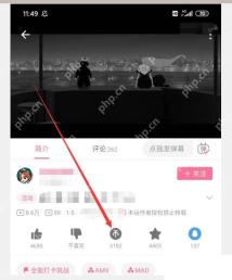 B站视频播放页硬币按钮