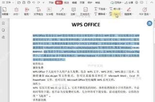 PDF如何在PDF文档中插入替换符?设置效果