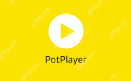 视频播放器有哪些？海内外高清视频播放器前十名盘点 - php中文网