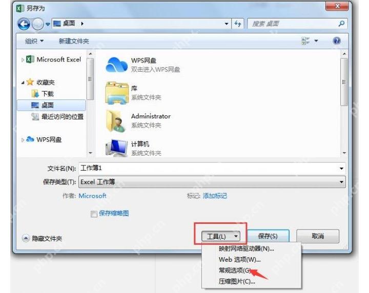 Excel 另存为窗口中进入工具的常规选项