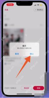 小红书 iOS 合集移除确认弹窗，用于确认从合集里移除内容