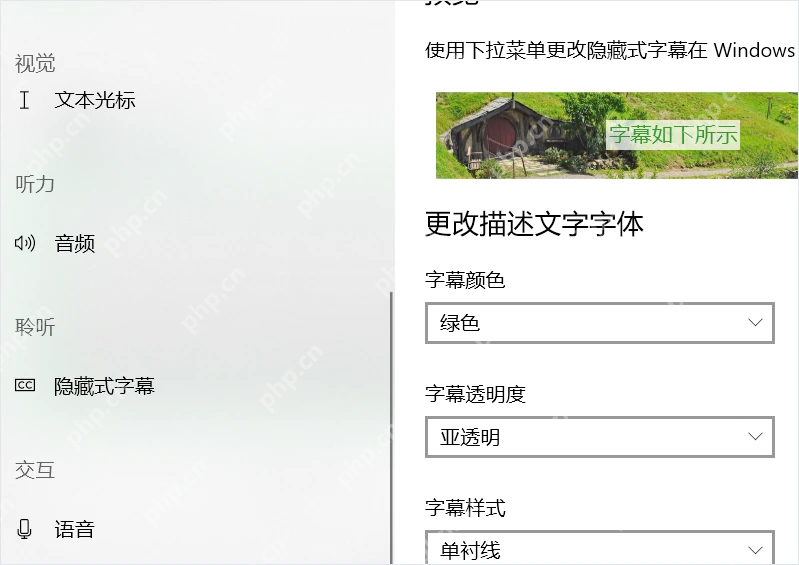 Win10 字幕文字样式选项