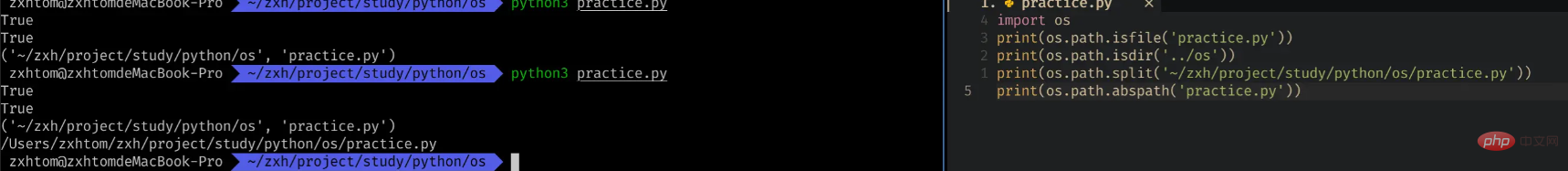 How does Pythons built-in module OS create a SHELL-side file processor?