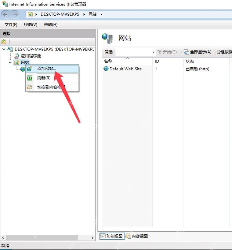 Windows10 IIS 管理器网站列表显示 Default Web Site 已启动