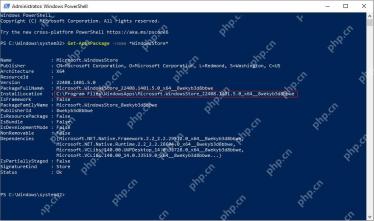 Win10 PowerShell 显示系统应用包注册信息