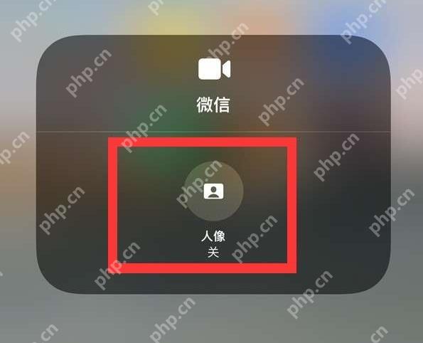 微信视频通话预览与系统视频效果验证