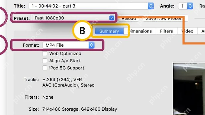 HandBrake Summary 页 Format 下拉框选择 MP4