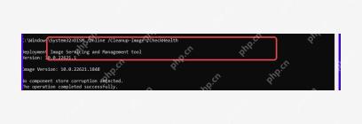 管理员终端执行 DISM CheckHealth 命令