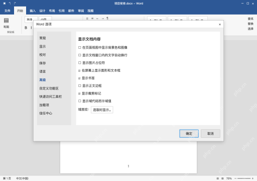 模拟 Microsoft Word 简体中文桌面版完整界面：有空框却无内容，检查显示选项