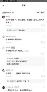 番茄小说想法评论面板,显示书友评论和回复
