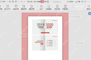 PDF文件如何快速查看奇偶页面？中间操作