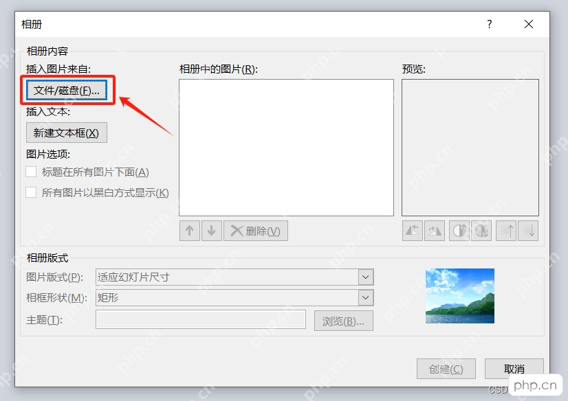 WPS演示相册窗口中准备从文件或磁盘添加图片