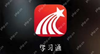学习通WEB端官方登录地址 超星学习通在线平台网址链接 - php中文网