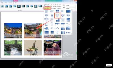 PowerPoint图片版式菜单中选择适合图片排版的SmartArt布局