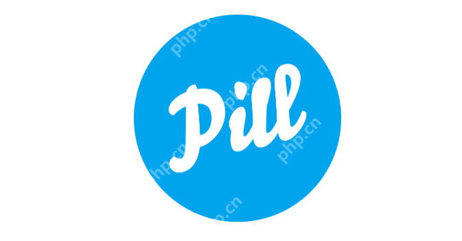 pilipili网站怎么进入_pilipili网页版直接进入 - php中文网