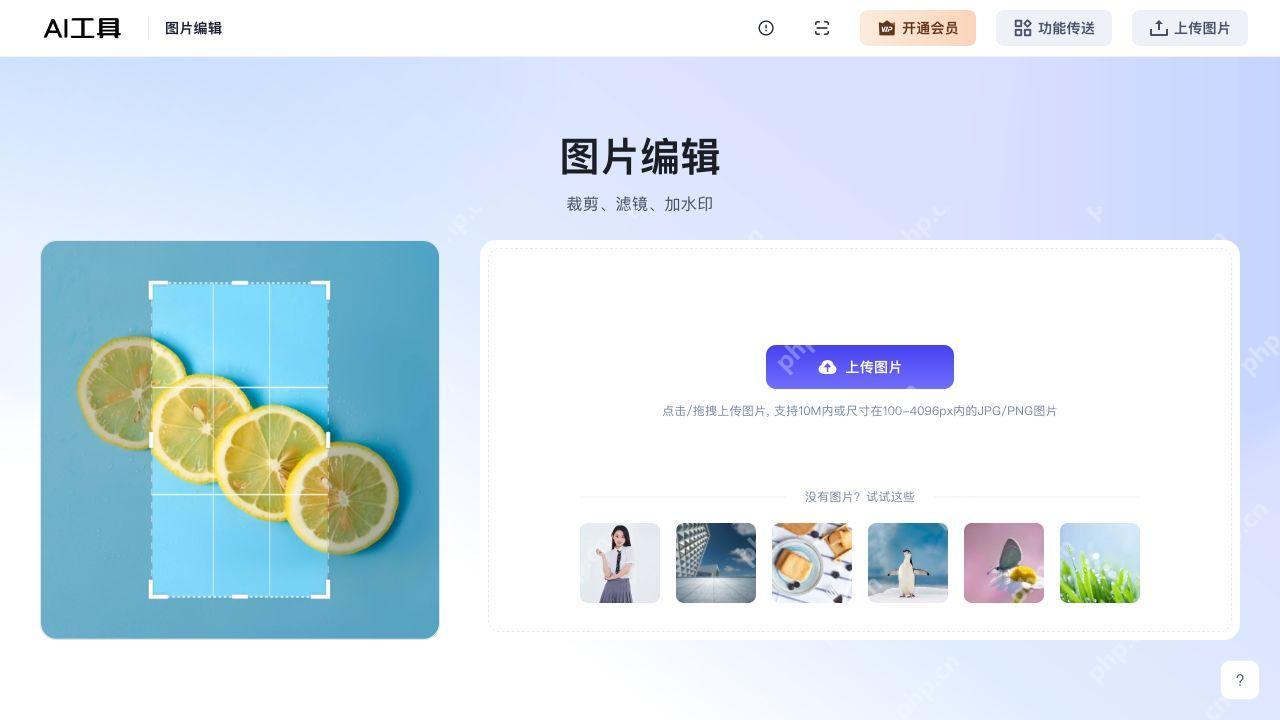 图片编辑的上传区与公开示例