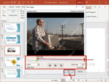 PowerPoint 剪裁视频窗口调整开始和结束时间