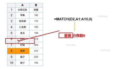 Excel 中 MATCH 返回香蕉行序数 8,服务于确认匹配结果步骤