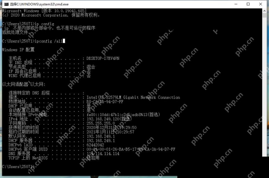 Windows 10 命令提示符 ipconfig all 输出物理地址