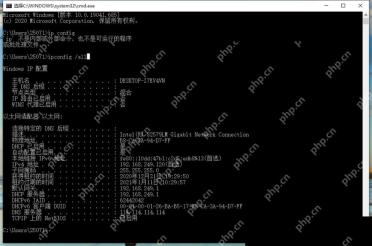 Windows 10 命令提示符 ipconfig all 输出物理地址