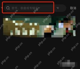 搜索歌手名称