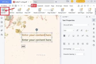 WPS PDF 编辑选项卡和编辑 PDF 按钮被标出，用于进入会员编辑功能