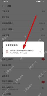 网易云音乐app怎么更改下载目录步骤图3