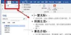 大纲视图界面显示级别控件