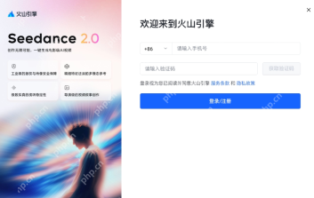 火山引擎 Seedance 视频生成调用完整操作步骤 - php中文网
