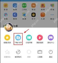 UC浏览器怎么设置下载文件自动分类-进入下载文件页