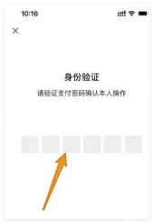 微信开启支付安全保护时的六位密码验证界面