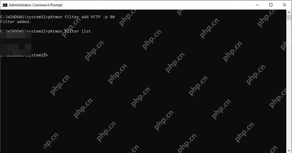 Windows 11 先添加与故障对应的过滤条件的真实界面截图