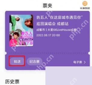 大麦app怎么查看电子票二维码步骤图2