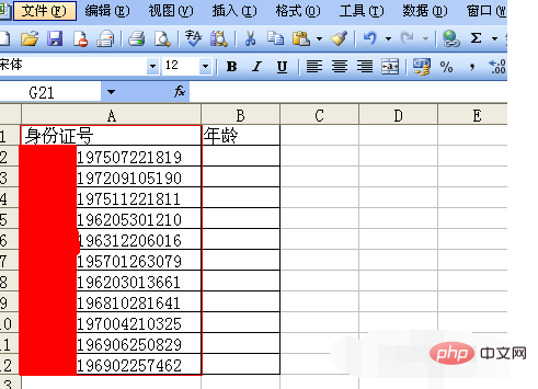 How to extract accurate age from ID number