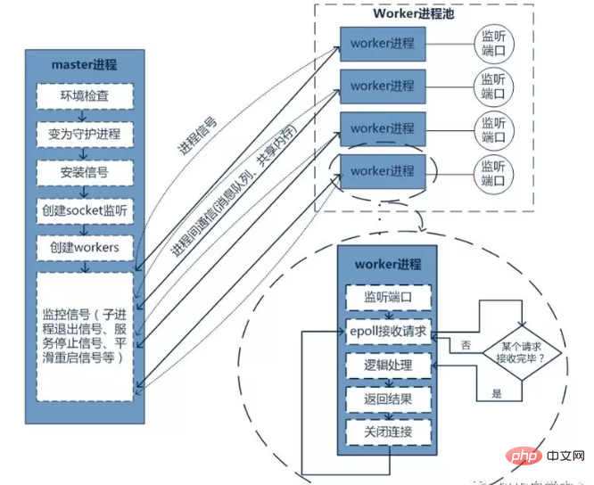 【高級】workman 和swoole 有哪些差別和異同