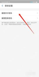 支付宝中文界面:重置支付密码,对应步骤:进入密码设置后,直接点“重置支付密码”。这一步就是把忘记旧密码的流程单独拉出来。