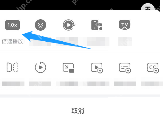 在播放菜单中选择倍速播放