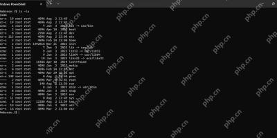 Windows 终端中显示 Linux 根目录的 ls 命令输出