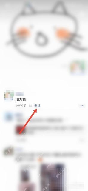 微信朋友圈已发内容旁删除入口