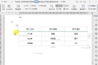 如何显示/隐藏文档表格虚框？结果检查