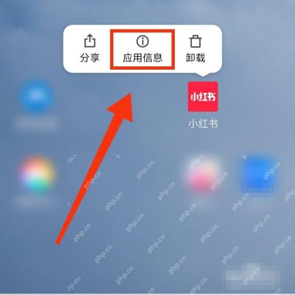 手机系统小红书应用信息入口,用于关闭定位权限