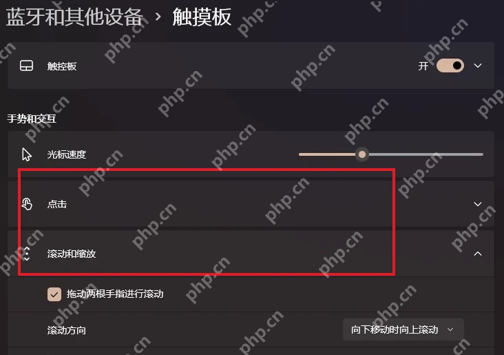 Win11 触摸板滚动和缩放中启用双指滚动