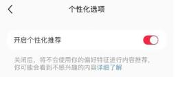 小红书个性化选项页面的开启个性化推荐开关，证明关闭推荐功能的位置