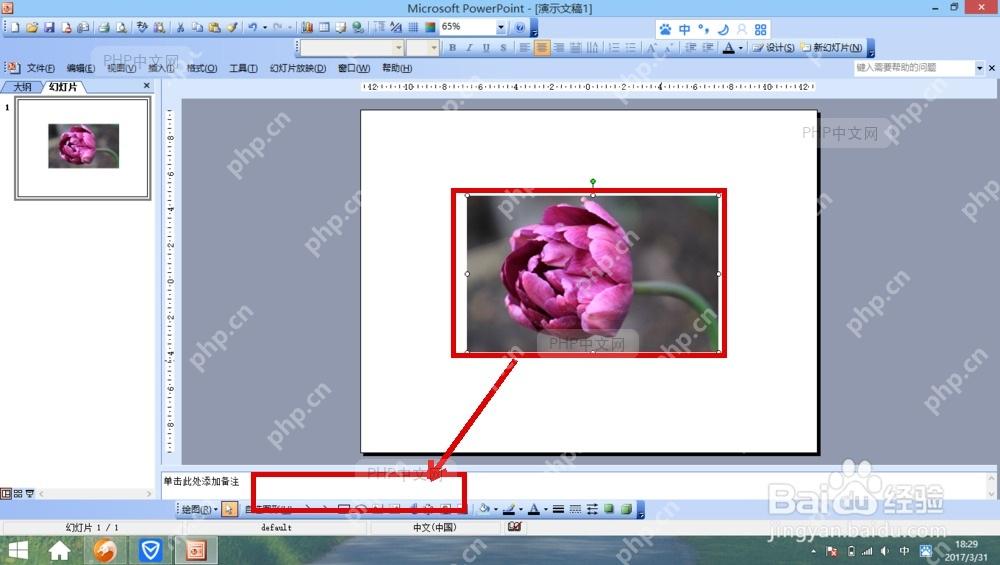 PowerPoint 幻灯片页面与底部放映控制区,用来预览图片飞出效果