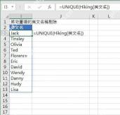 Excel使用UNIQUE函数提取不重复英文名