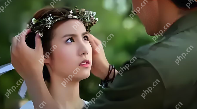 免费视频在线观看APP 免费高清视频永久在线观看软件前十名推荐 - php中文网
